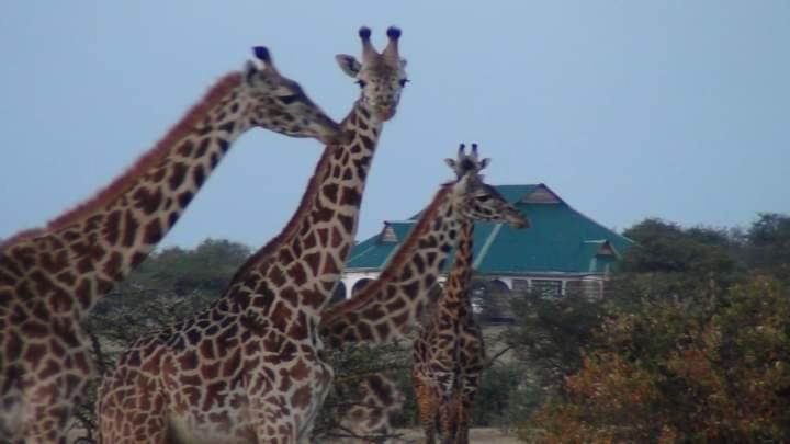 Narasha Homestay - Maasai Mara Talek Exterior photo