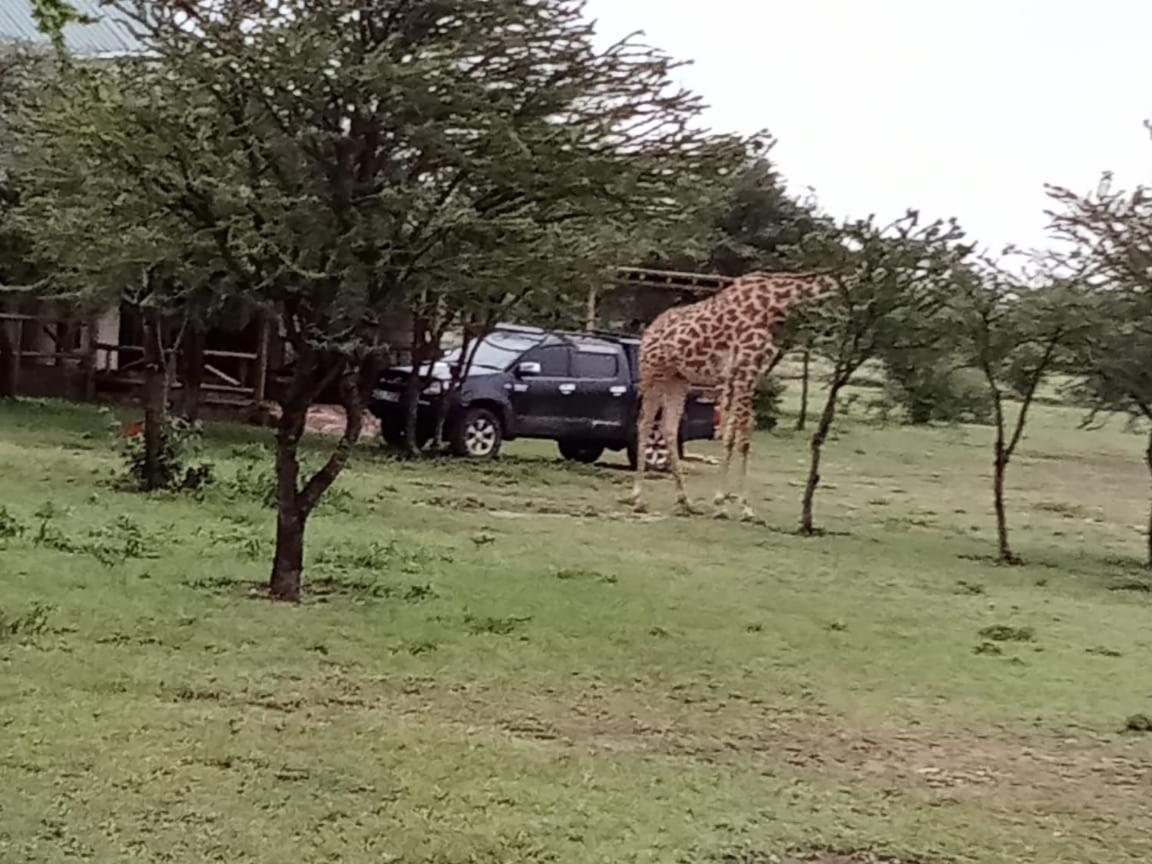 Narasha Homestay - Maasai Mara Talek Exterior photo