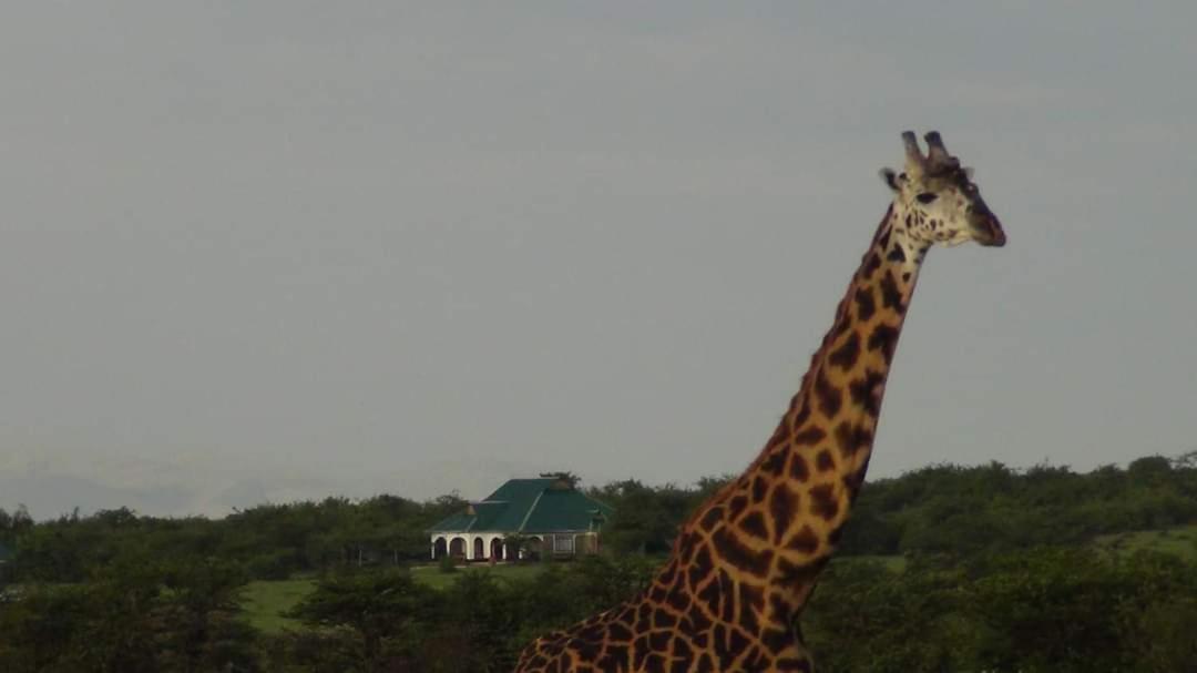 Narasha Homestay - Maasai Mara Talek Exterior photo